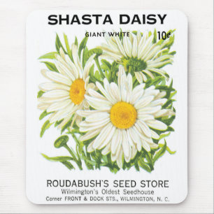  zaadpakketkunst, Shasta Daisy Flowers Muismat
