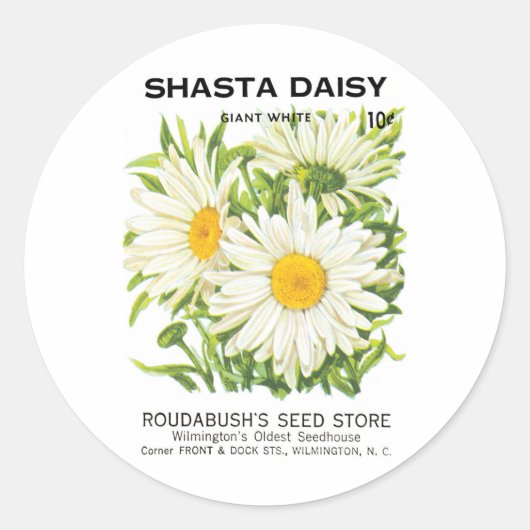 zaadpakketkunst, Shasta Daisy Flowers Ronde Sticker (Voorkant)