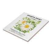  zaadpakketkunst, Shasta Daisy Flowers Tegeltje (Zijkant)