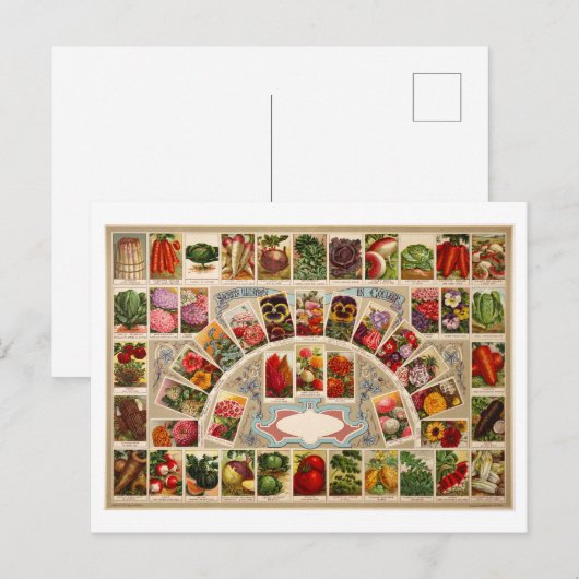  zaadpakketten briefkaart (Voorkant / Achterkant)