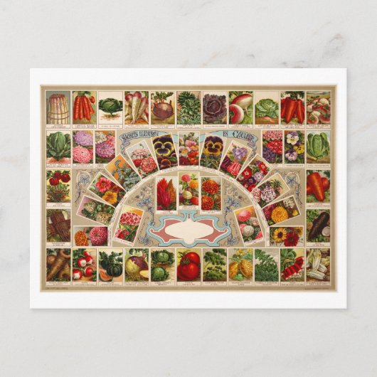  zaadpakketten briefkaart (Voorkant)