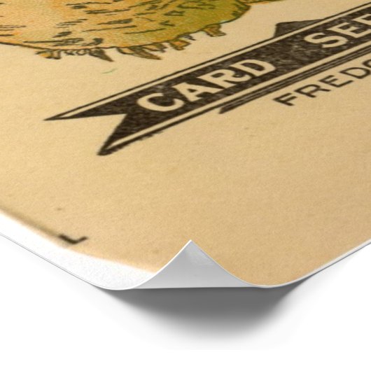  zaadpakketten poster (Hoek)