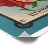  zaadpakketten poster (Hoek)