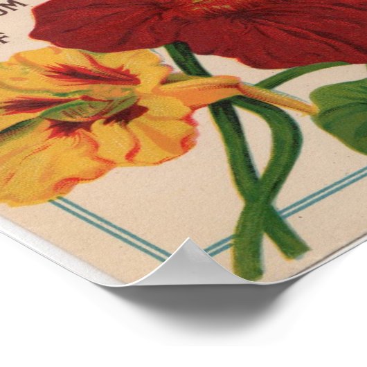  zaadpakketten poster (Hoek)