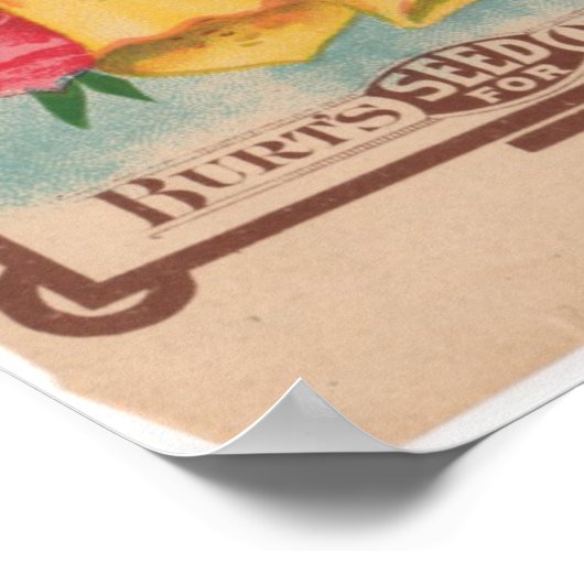  zaadpakketten poster (Hoek)