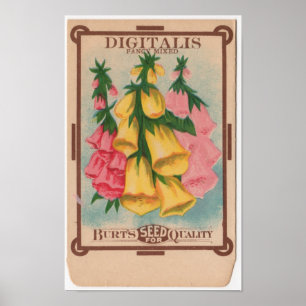  zaadpakketten poster