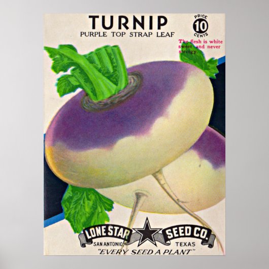 Zaadpakkettenpenselen uit de jaren '50 poster (Voorkant)