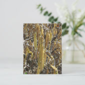 zaadpotigen briefkaart (Staand voorkant)