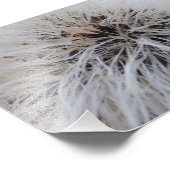 zaadpotigen foto afdruk (Hoek)