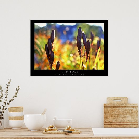 zaadpotigen poster (Keuken)