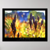 zaadpotigen poster (Voorkant)