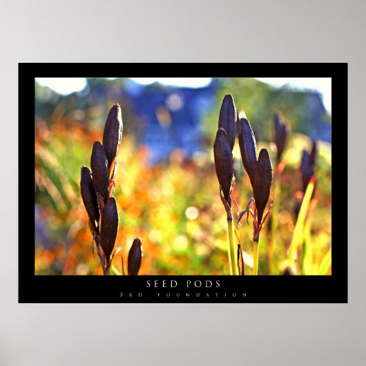 zaadpotigen poster (Voorkant)