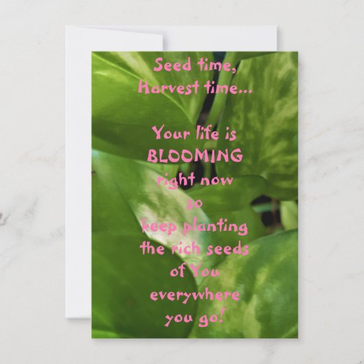 zaadtijd, oogsttijd, platte Wenskaart (Voorkant)