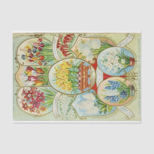 -zaadvangers tissuepapier (Voorkant)