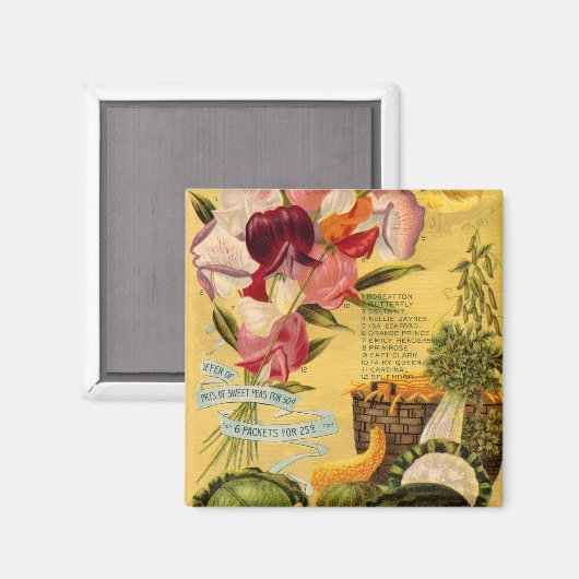 zaadvariëteit Magnet (Voorkant / Achterkant)