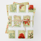 -zaadverpakkingen en gesorteerd inpakpapier vel (In situ)