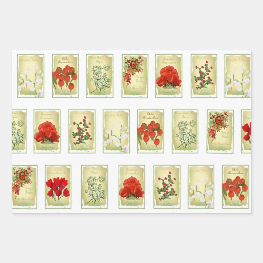 -zaadverpakkingen en gesorteerd inpakpapier vel (Voorkant)