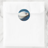Zaadzwemmen Ronde Sticker (Tas)