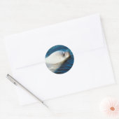 Zaadzwemmen Ronde Sticker (Envelop)