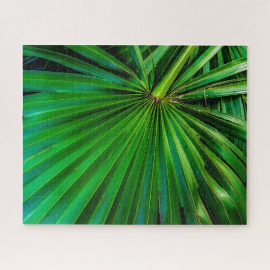 Zaagpalmetwaaierpuzzel Legpuzzel (Horizontaal)