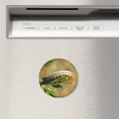 Zaagvlieg larven magneet (Insitu (Vaatwasser))