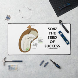 Zaai het zaad van succes dicotyledon Bean Seed Bureaumat