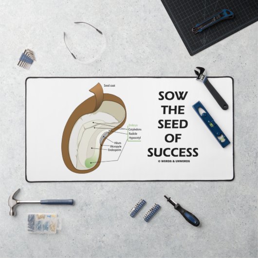 Zaai het zaad van succes dicotyledon Bean Seed Bureaumat (Werkstation)