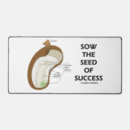 Zaai het zaad van succes dicotyledon Bean Seed Bureaumat