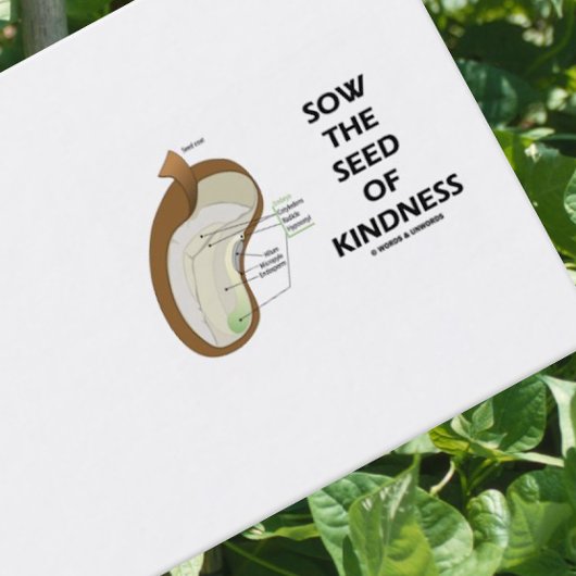 Zaai het zaad van vriendelijkheid (Dicotyledon bon Visitekaartje