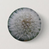 Zaaien paardenbloem Button (Voorkant)
