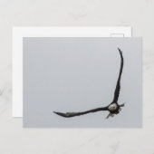 Zaaiende Bald Eagle Bird Flight Beauful Natuur Aankondigingskaart (Voorkant / Achterkant)