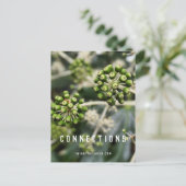 Zaaigoed - Briefkaart van de Duidelijke Verbinding (Staand voorkant)