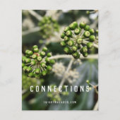 Zaaigoed - Briefkaart van de Duidelijke Verbinding (Voorkant)