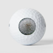 zaaigoed Dandelion Flower Golf Ball Golfballen (Voorkant)