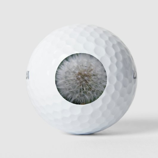 zaaigoed Dandelion Flower Golf Ball Golfballen (Voorkant)