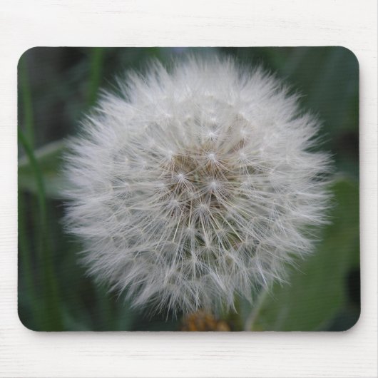 zaaigoed Dandelion Flower Mousepad Muismat (Voorkant)