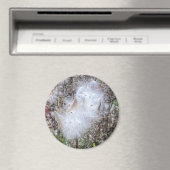 Zaaigoed en Kantoor van zijde Magneet (Insitu (Vaatwasser))