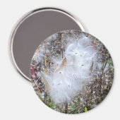 Zaaigoed en Kantoor van zijde Magneet (Voorkant / Achterkant)