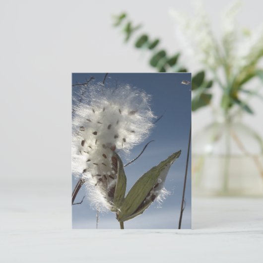 Zaaigoed en potigen briefkaart (Staand voorkant)