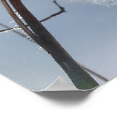 Zaaigoed en potigen van moskroos poster (Hoek)