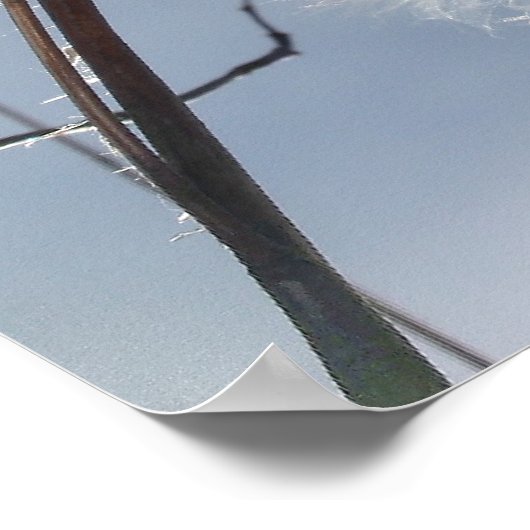 Zaaigoed en potigen van moskroos poster (Hoek)