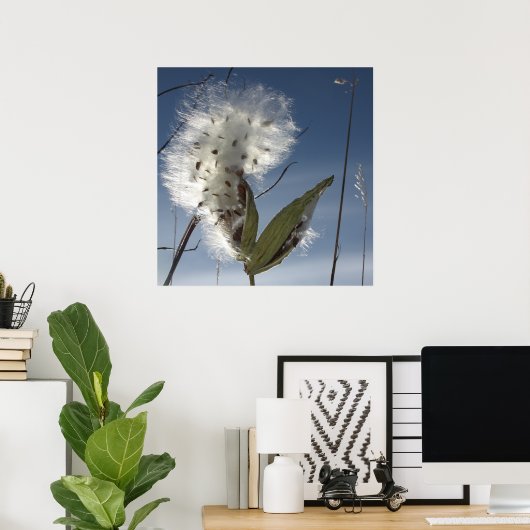 Zaaigoed en potigen van moskroos poster (Thuiskantoor)