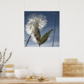 Zaaigoed en potigen van moskroos poster (Keuken)