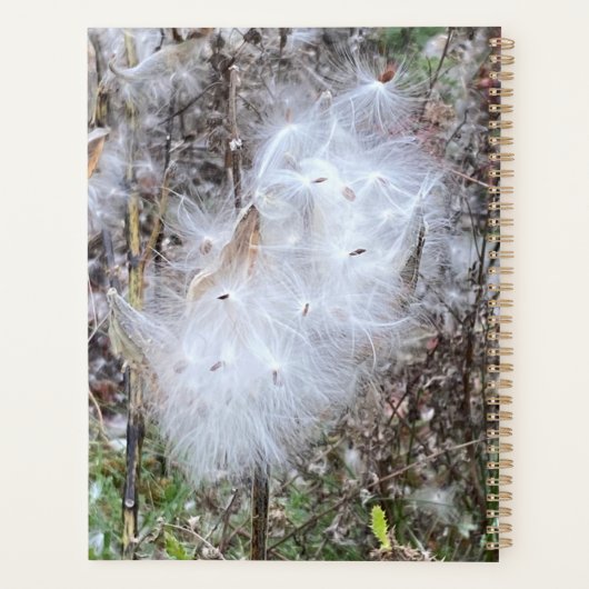 Zaaigoed en zijderoute planner (Achterkant)