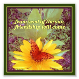 Zaaigoed met zonnebloemen vlinder foto afdruk