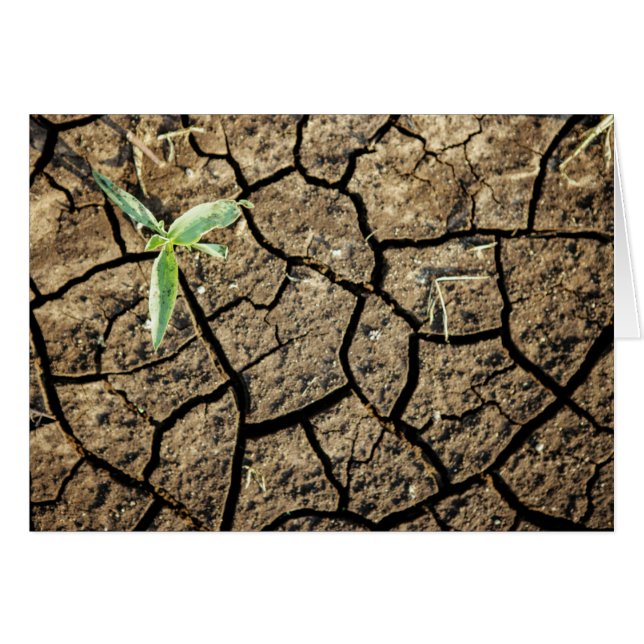 zaaigoed op aarde (Voorkant Horizontaal)