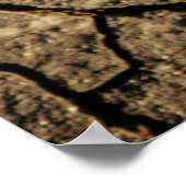 zaaigoed op aarde poster (Hoek)