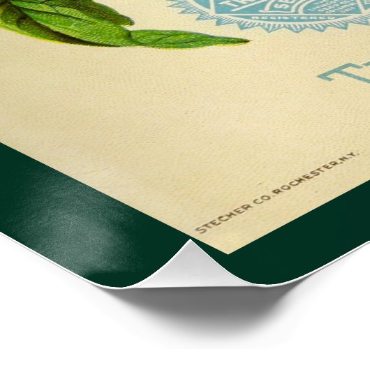 zaaigoed perfect poster (Hoek)