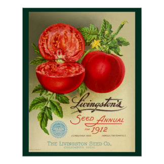 zaaigoed perfect poster