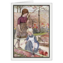 Zaaigoed van Anne Anderson